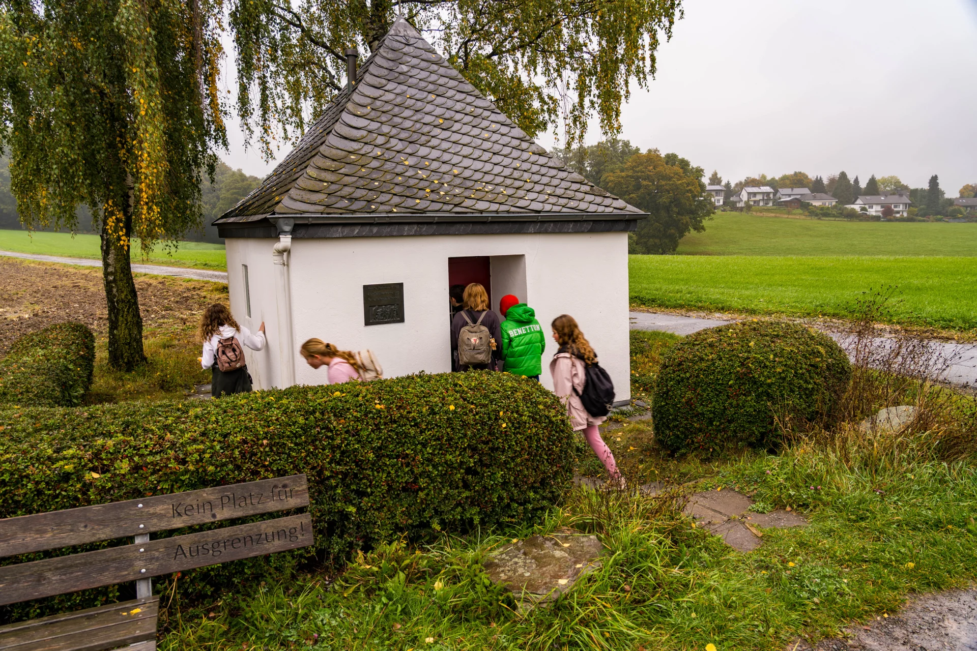 Bild der Galerie