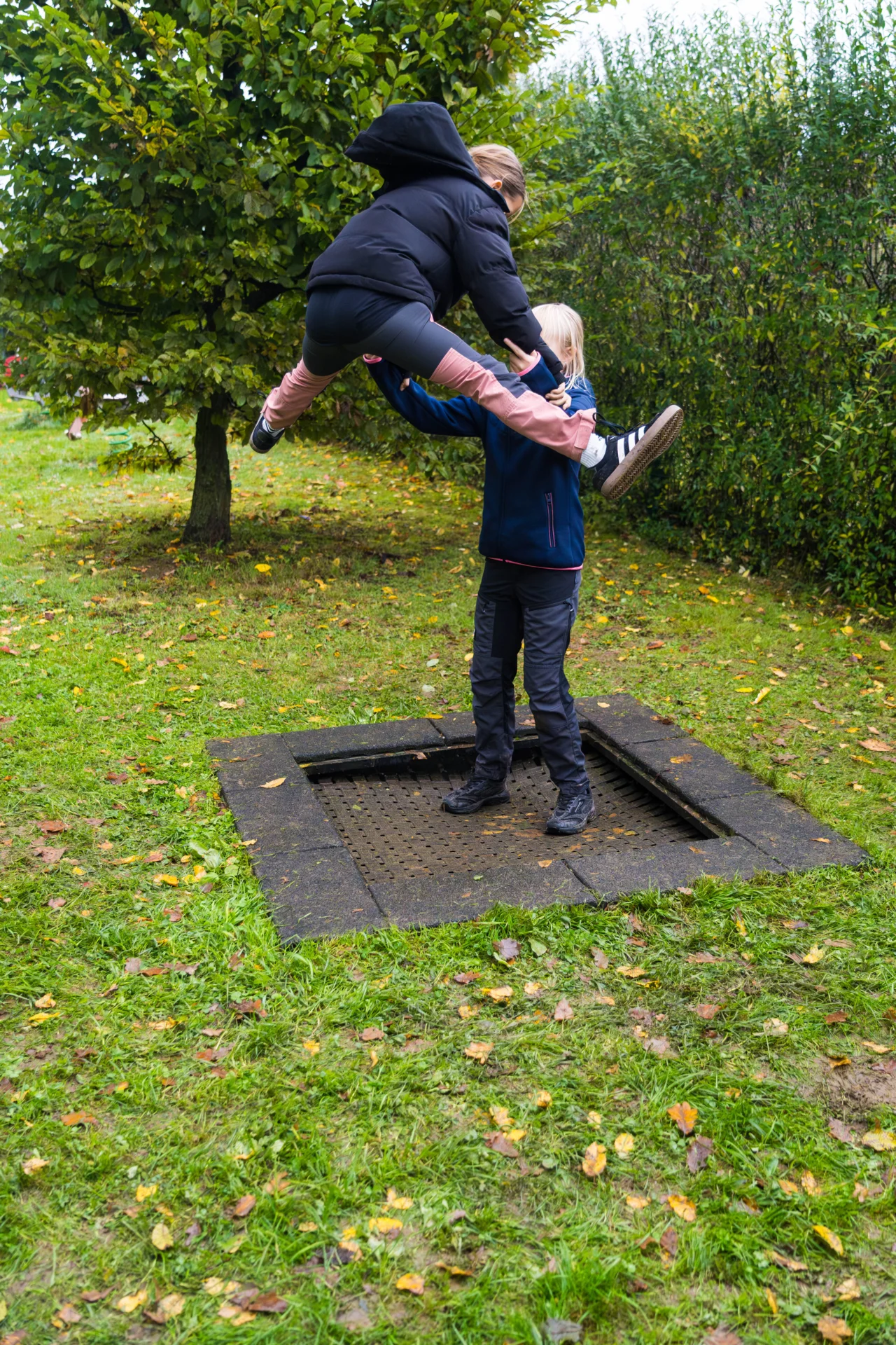 Bild der Galerie