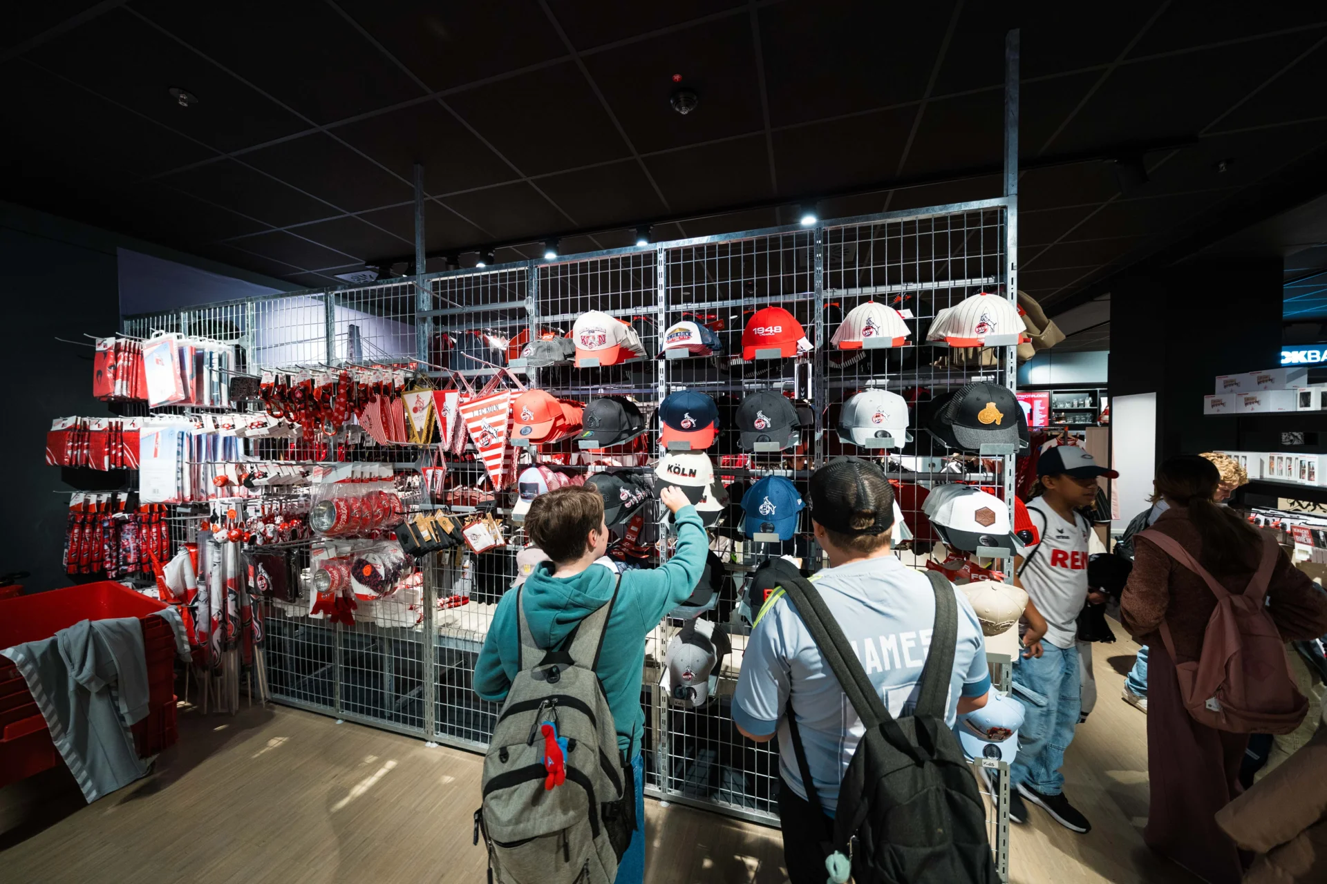 Bild der Galerie