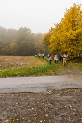 Foto des Albums: Projektwoche Jg. 5 2025