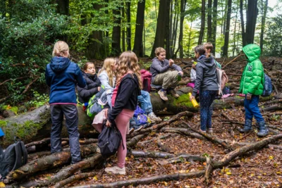 Foto des Albums: Projektwoche Jg. 5 2025