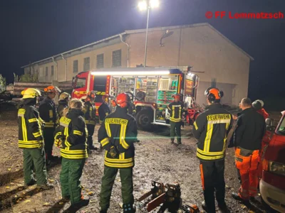 Bild 10 