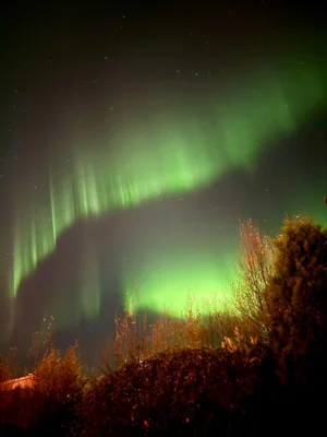 Aurora Borealis 
