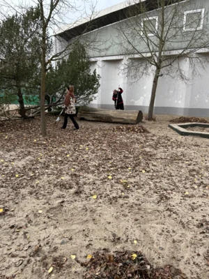 Foto des Albums: Arbeitseinsatz 14.11.2025