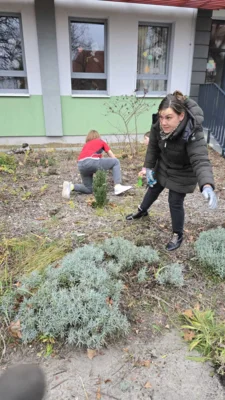 Foto des Albums: Arbeitseinsatz 14.11.2025