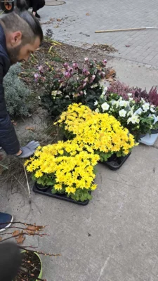 Foto des Albums: Arbeitseinsatz 14.11.2025