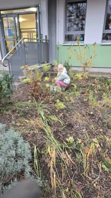 Foto des Albums: Arbeitseinsatz 14.11.2025