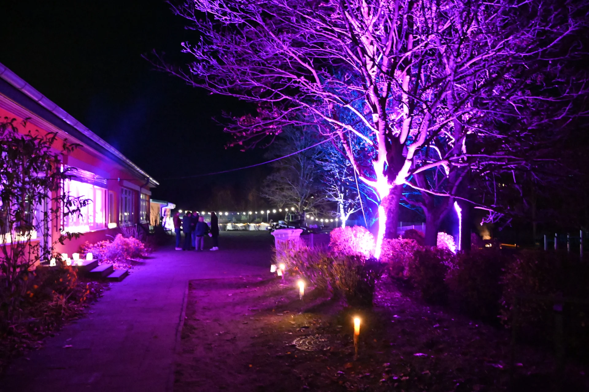Bild der Galerie