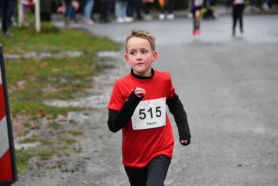 Foto des Albums: Berger Adventslauf 2024