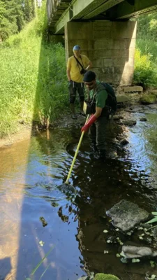 Foto des Albums: Bilder querbeet