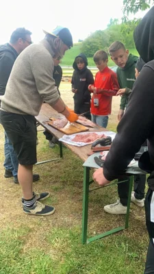 Foto des Albums: Bilder querbeet