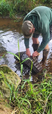 Foto des Albums: Bilder querbeet