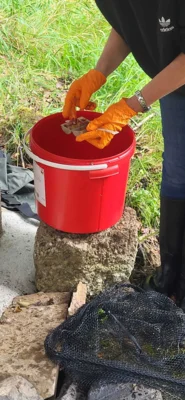 Foto des Albums: Bilder querbeet