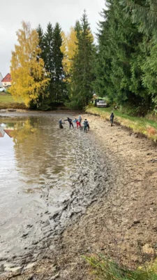 Foto des Albums: Bilder querbeet