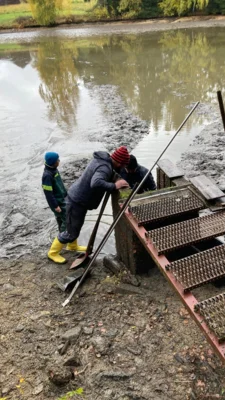 Foto des Albums: Bilder querbeet