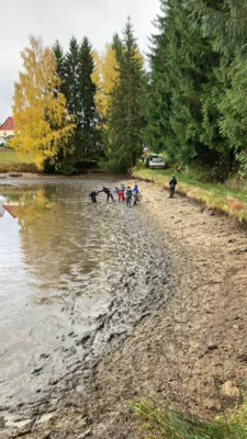 Foto des Albums: Bilder querbeet