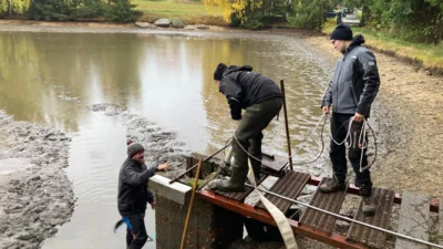 Foto des Albums: Bilder querbeet