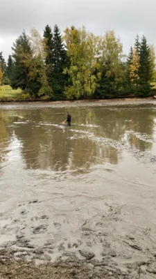 Foto des Albums: Bilder querbeet