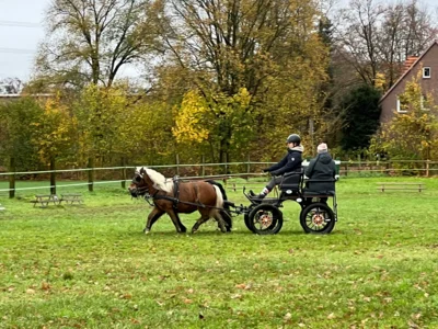 Foto des Albums: Erstes Dressur-Training Lehrgang 2025