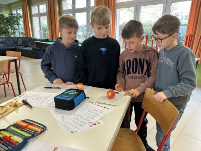 Foto des Albums: Apfelprojekt Klasse 3b 11/2025