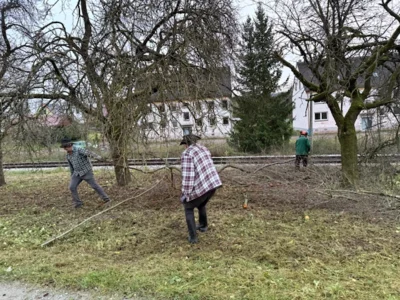 2025-11-14 Rappelsdorf Baumpflege1  (Bild vergr&ouml;&szlig;ern)