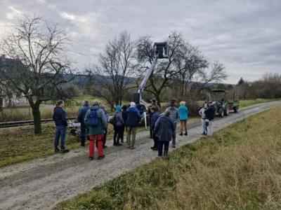 2025-11-15 Rappelsdorf Baumpflege3  (Bild vergr&ouml;&szlig;ern)