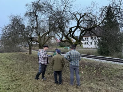 202511-14 Rappelsdorf Baumpflege2  (Bild vergr&ouml;&szlig;ern)