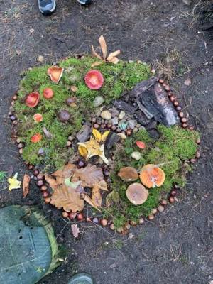 Foto des Albums: Unterrichtsgang Kunst – Land Art: Herbstmandalas aus Naturmaterialien