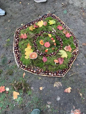Foto des Albums: Unterrichtsgang Kunst – Land Art: Herbstmandalas aus Naturmaterialien