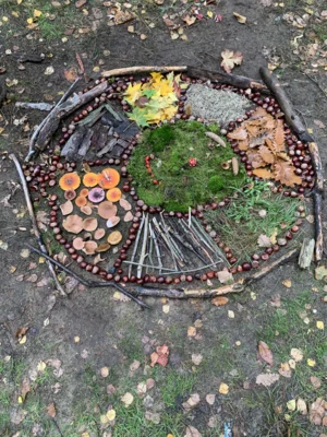 Foto des Albums: Unterrichtsgang Kunst – Land Art: Herbstmandalas aus Naturmaterialien