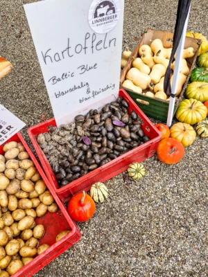 Foto des Albums: Knieper- und Regionalmarkt in der 