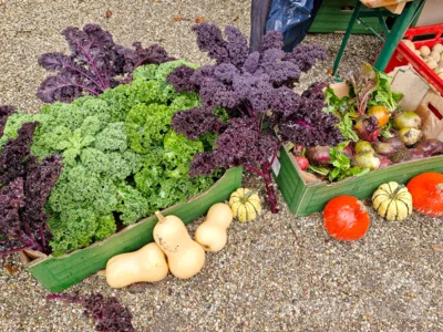 Foto des Albums: Knieper- und Regionalmarkt in der 