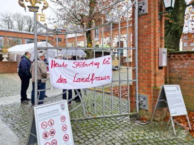 Foto des Albums: Knieper- und Regionalmarkt in der 