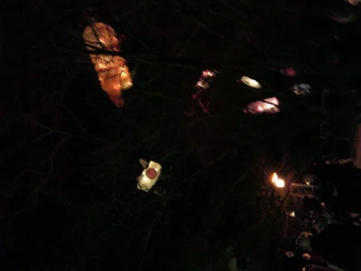 Foto des Albums: Lichterfest 2025