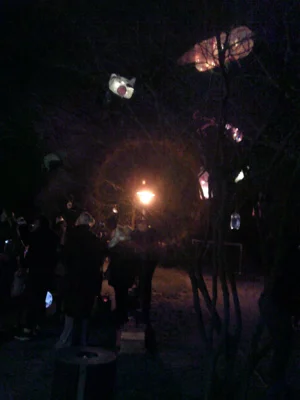 Foto des Albums: Lichterfest 2025