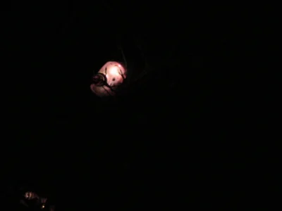 Foto des Albums: Lichterfest 2025