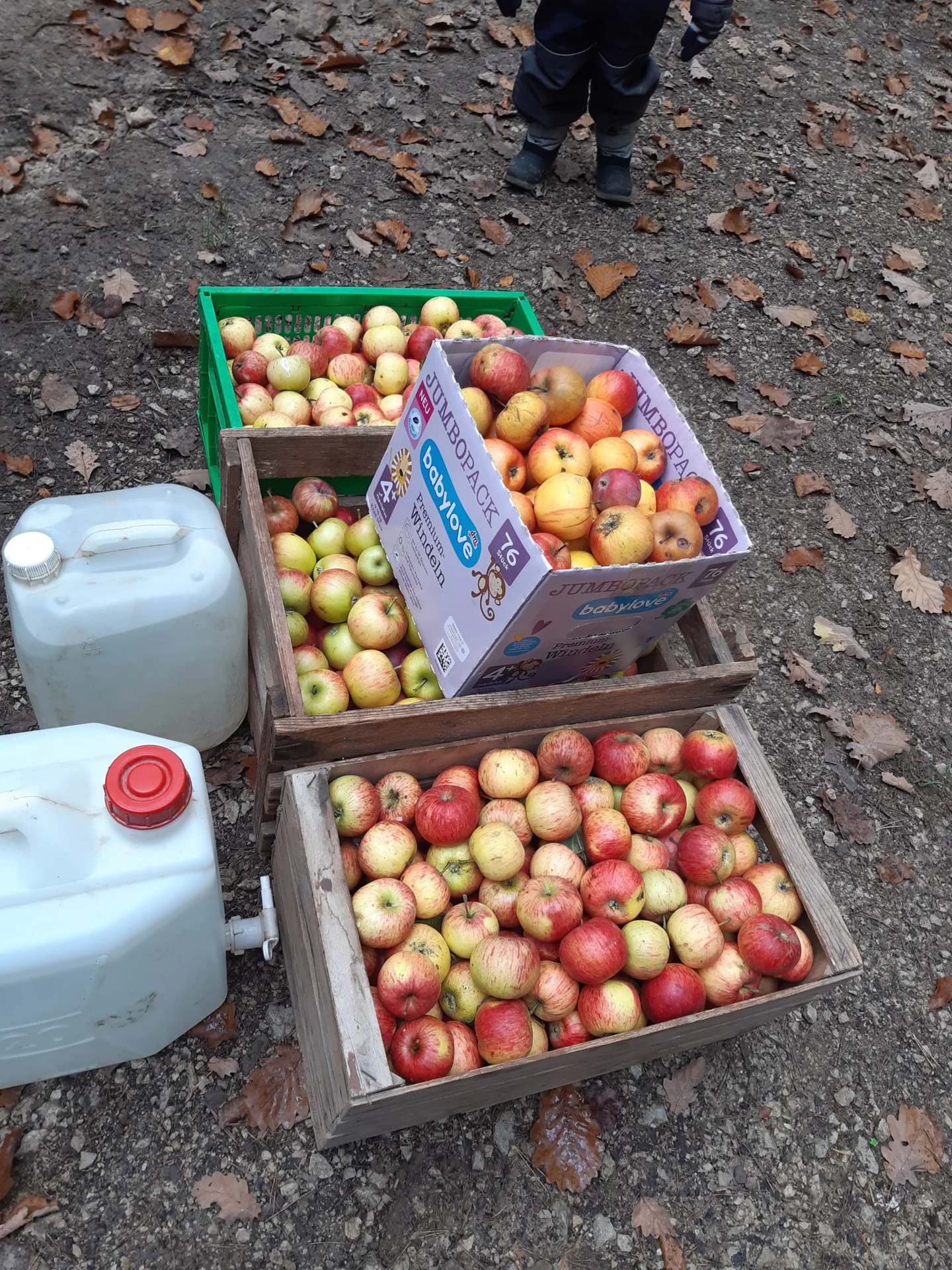 Bild: Herbstaktion Apfelsaft pressen