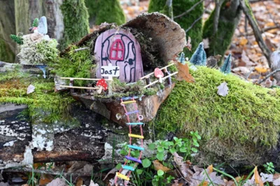 Foto des Albums: Wichtelweg