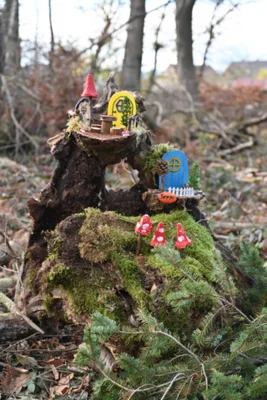 Foto des Albums: Wichtelweg