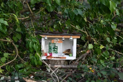 Foto des Albums: Wichtelweg