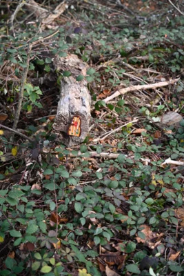 Foto des Albums: Wichtelweg