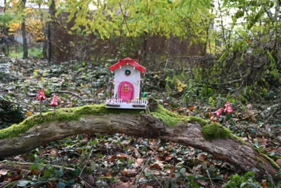 Foto des Albums: Wichtelweg