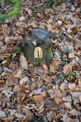 Foto des Albums: Wichtelweg