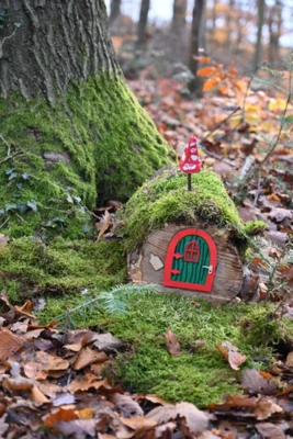 Foto des Albums: Wichtelweg