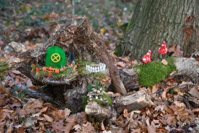 Foto des Albums: Wichtelweg