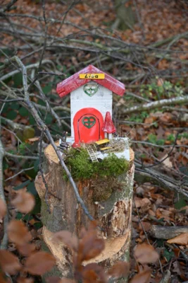 Foto des Albums: Wichtelweg