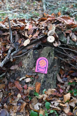 Foto des Albums: Wichtelweg
