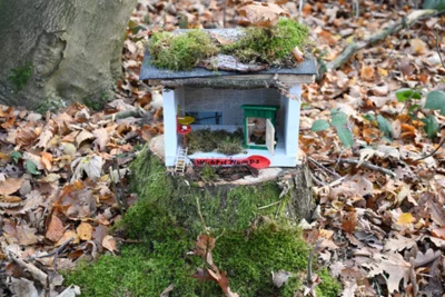 Foto des Albums: Wichtelweg