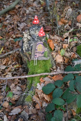 Foto des Albums: Wichtelweg