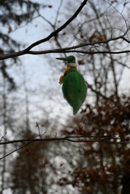 Foto des Albums: Wichtelweg